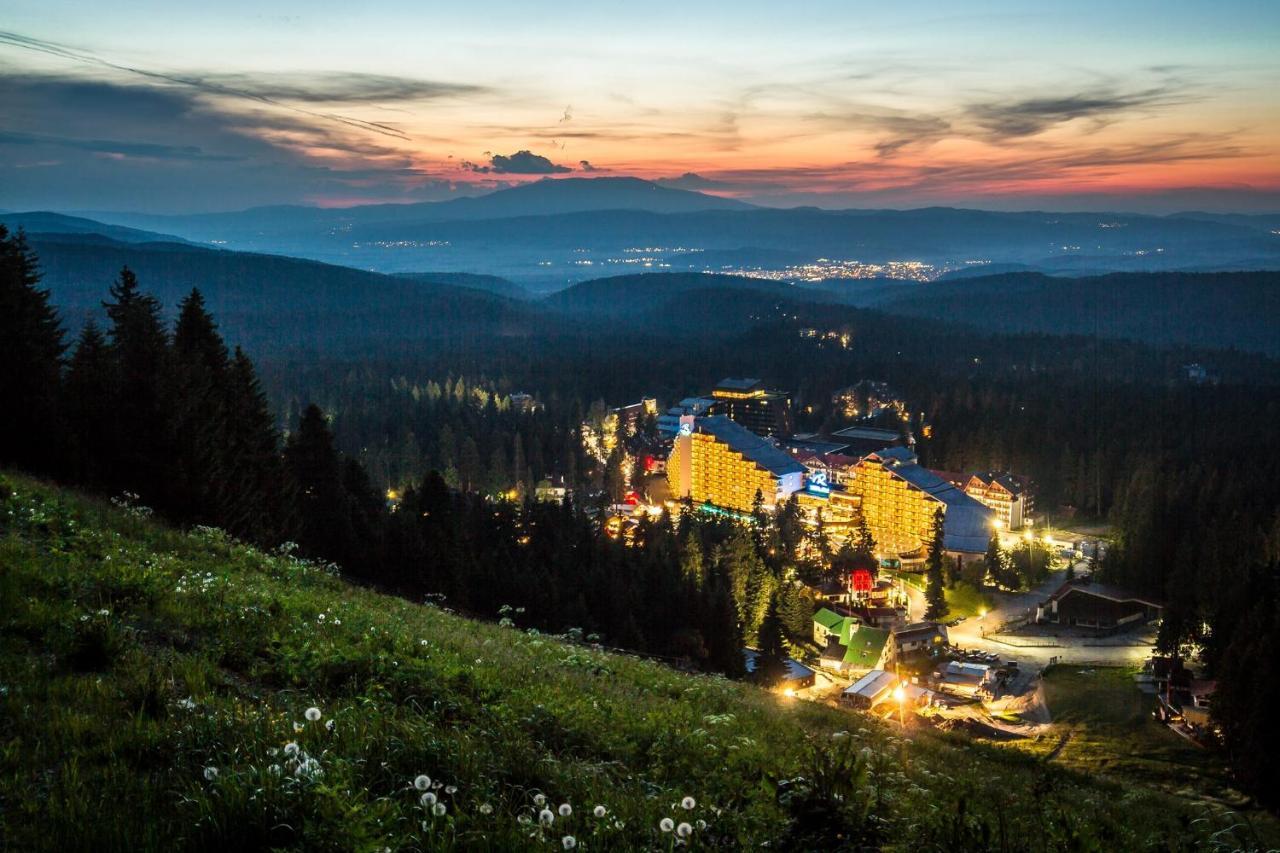 Tes Flora Borovets