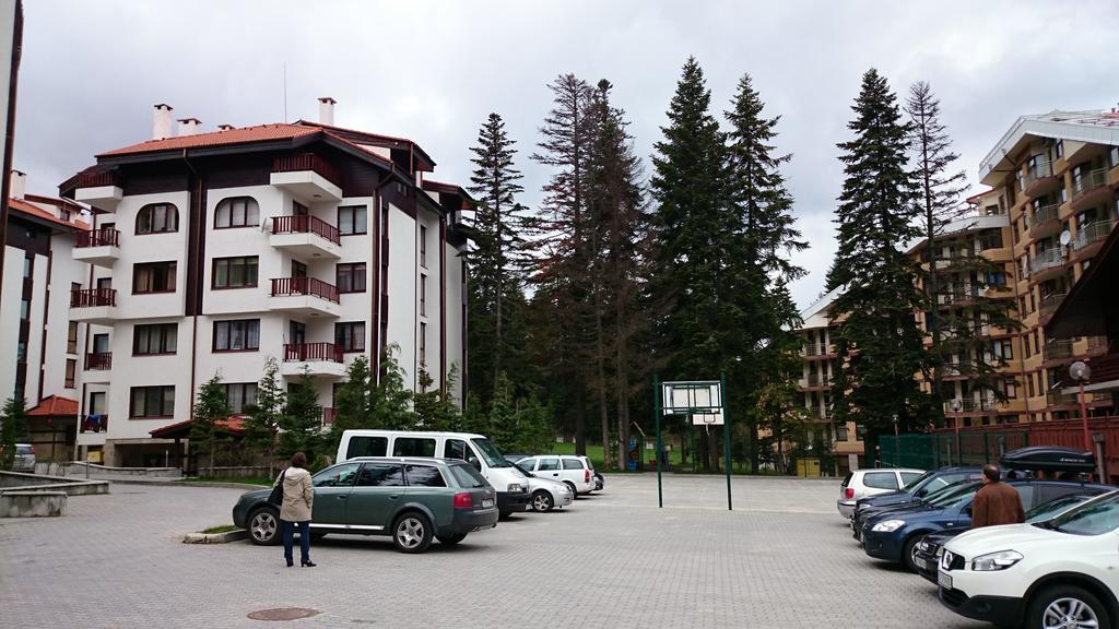 Tes флора *