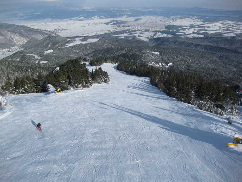 Apartment Tes Flora Borovets