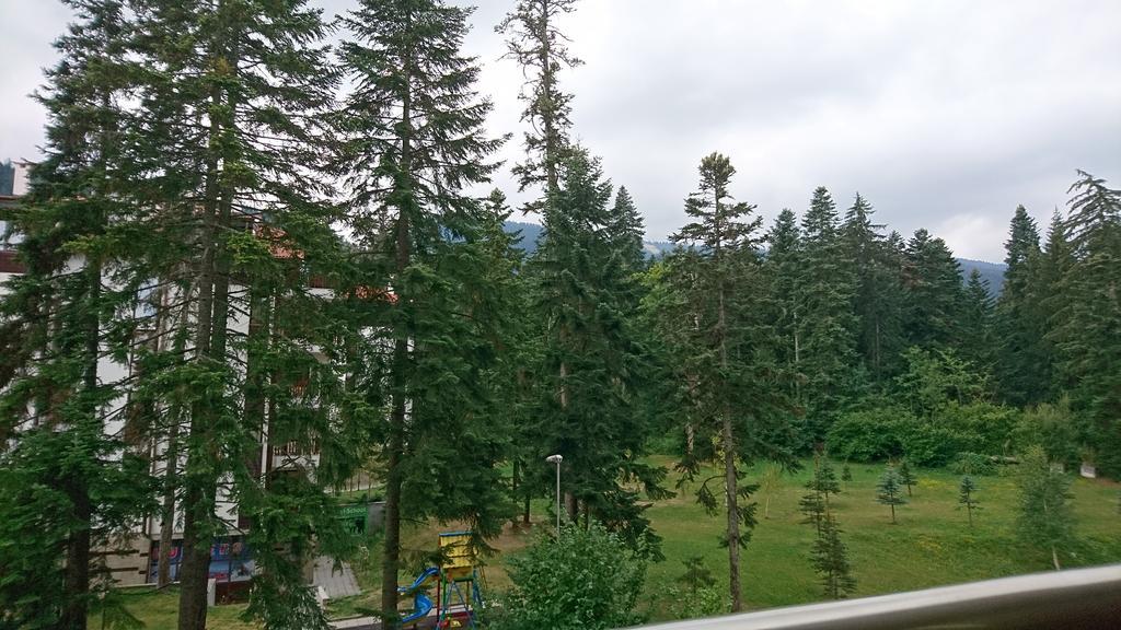 Tes Flora * Borovets
