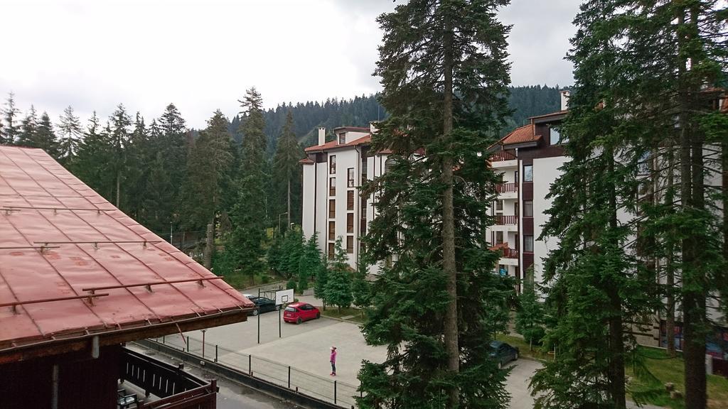 Tes флора Апартамент