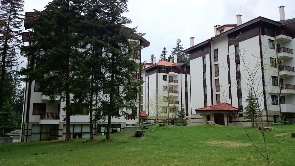 Tes Flora Apartment *