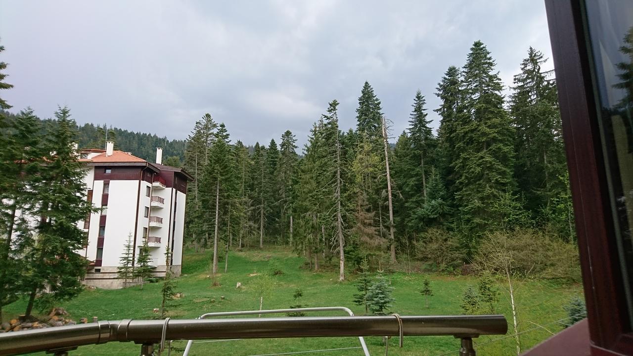 Apartment Tes Flora Borovets